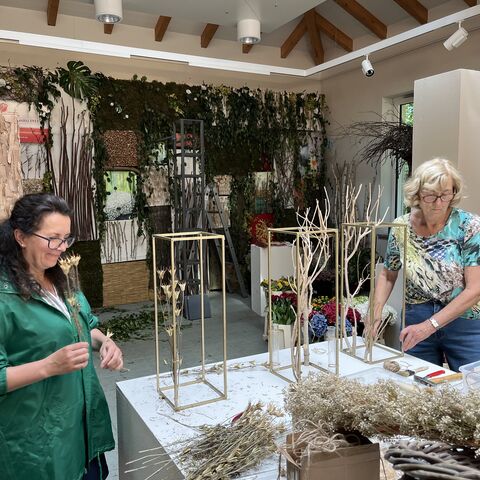 Aufbau der Schnittrosenschau im Besucherzentrum des Ostdeutschen Rosengarten Forst (Lausitz), Foto. Stefan Palm