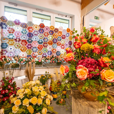 Schnittrosenschau im Besucherzentrum des Ostdeutschen Rosengarten im 2024, Foto: Studio 2.0 Christian Swiekatowski