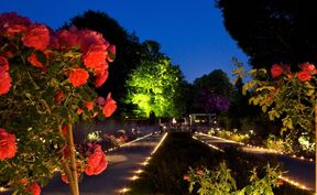 Fotograf: Rico Hofmann