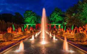 Fotograf: Rico Hofmann